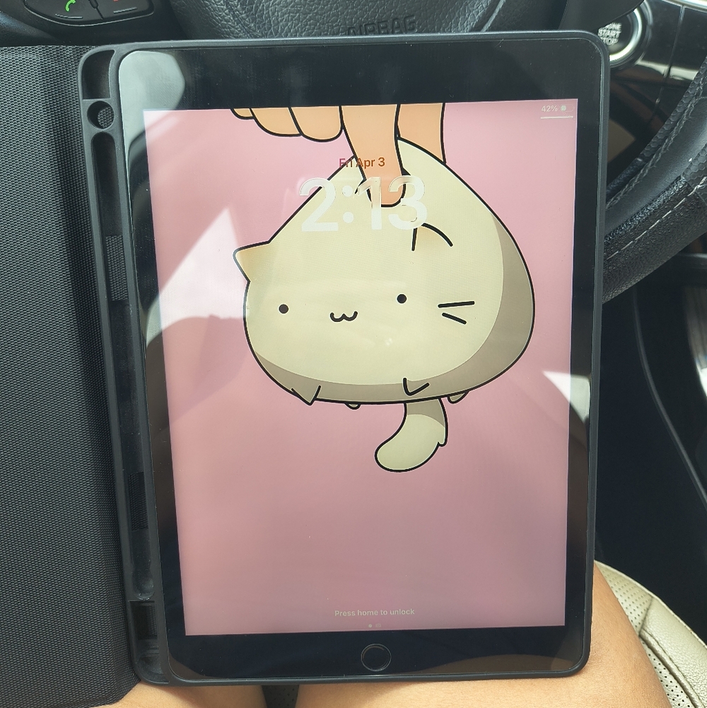 iPad 9th Gen W Case And Screen Protector